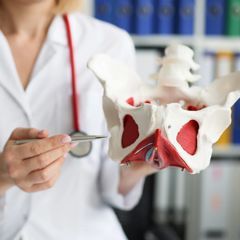 La corde à sauter détruit-elle le périnée ? Le risque de la descente d’organes enfin expliqué